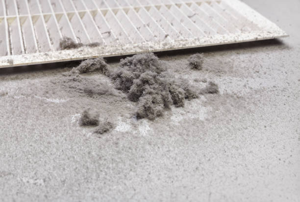 Best Dryer Vent Cleaning Services  in Shenandoah Farms, VA