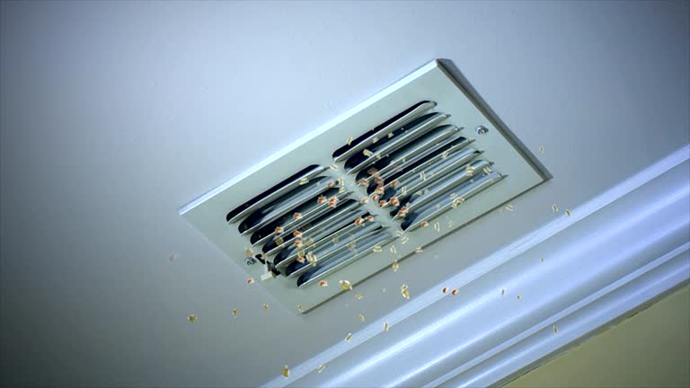 Best Air Duct Cleaning Near Me  in Shenandoah Farms, VA