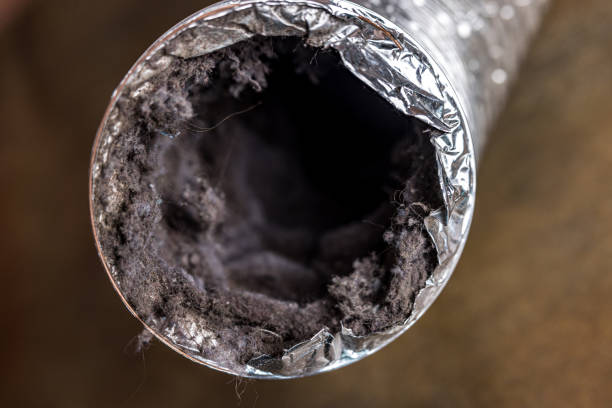 Best Ductwork Cleaning Services  in Shenandoah Farms, VA