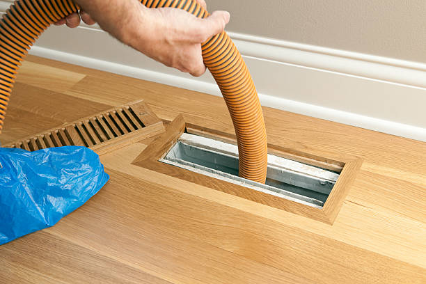 Best Affordable Air Duct Cleaning  in Shenandoah Farms, VA