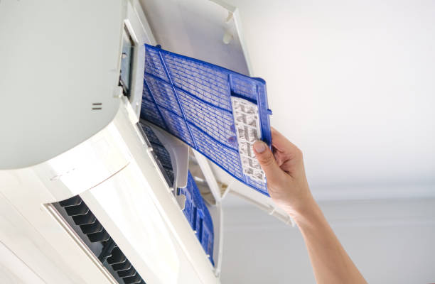 Best Home Air Vent Cleaning  in Shenandoah Farms, VA