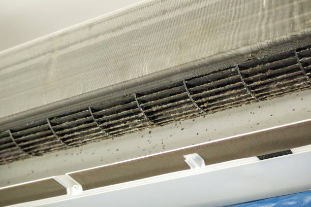 Best Ventilation Cleaning Services  in Shenandoah Farms, VA