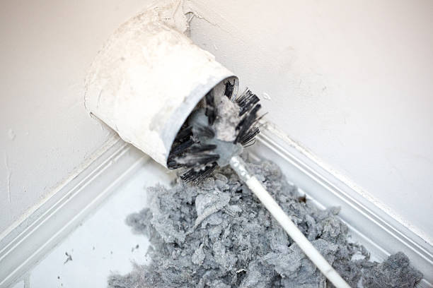 Best Duct Cleaning Specialists  in Shenandoah Farms, VA